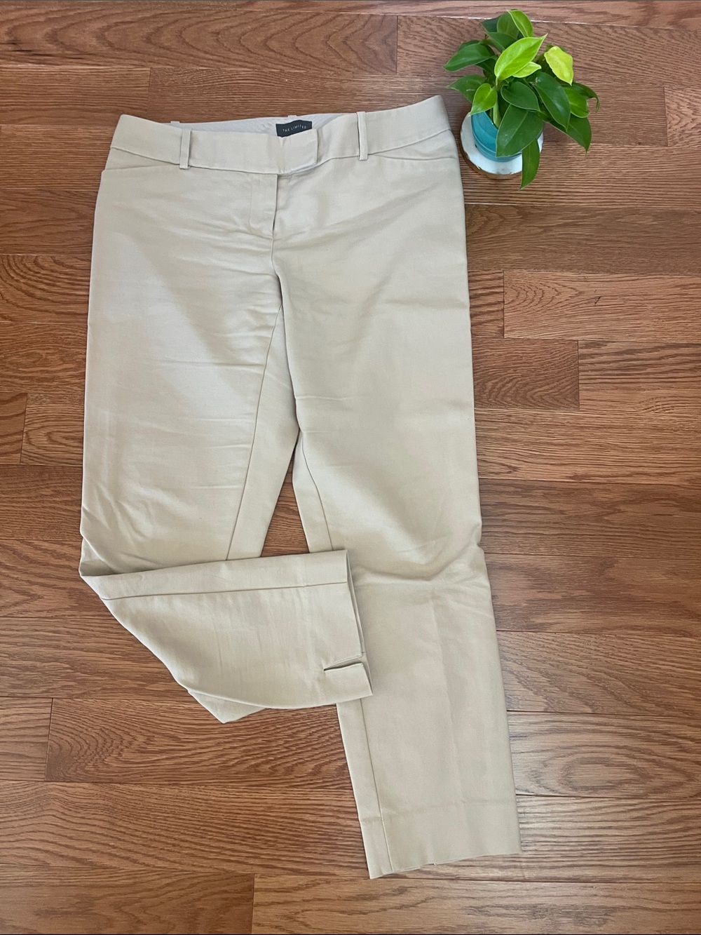 The Limited Beige Tailored Dress Pants